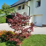 Sara's House Апартаменты *