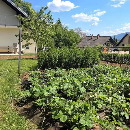 Sara's House Appartement *