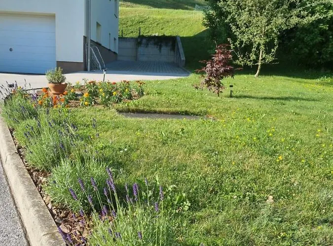 Sara's House Appartement