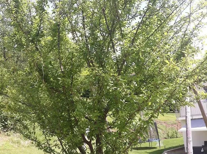 Sara's House Appartement Bled