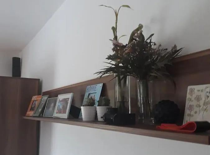 Sara's House Appartement