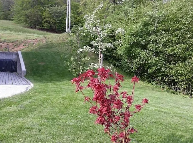 Appartement Sara's House