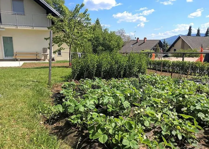 Sara's House Appartement *