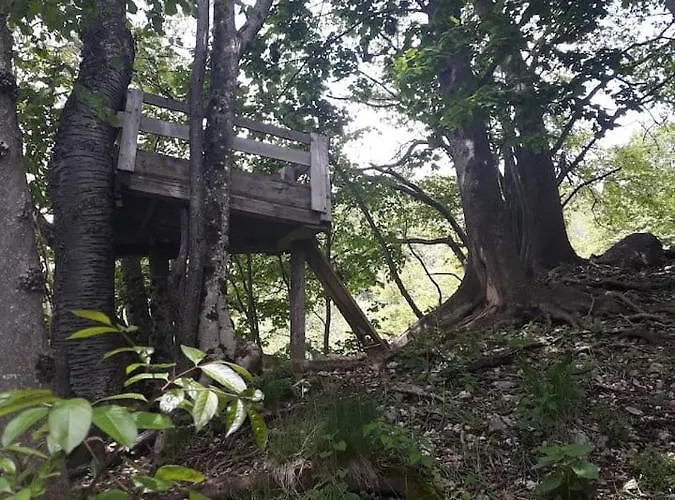 Appartement Sara's House Bled